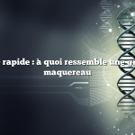 Réponse rapide : à quoi ressemble une groseille à maquereau